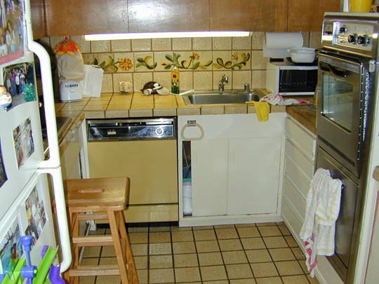 Kitchen Remodel 4