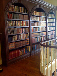 Leather book library